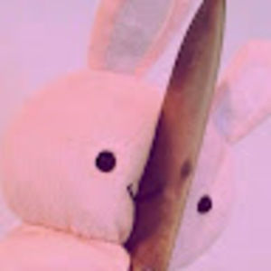 Meet your Posher, Candy is